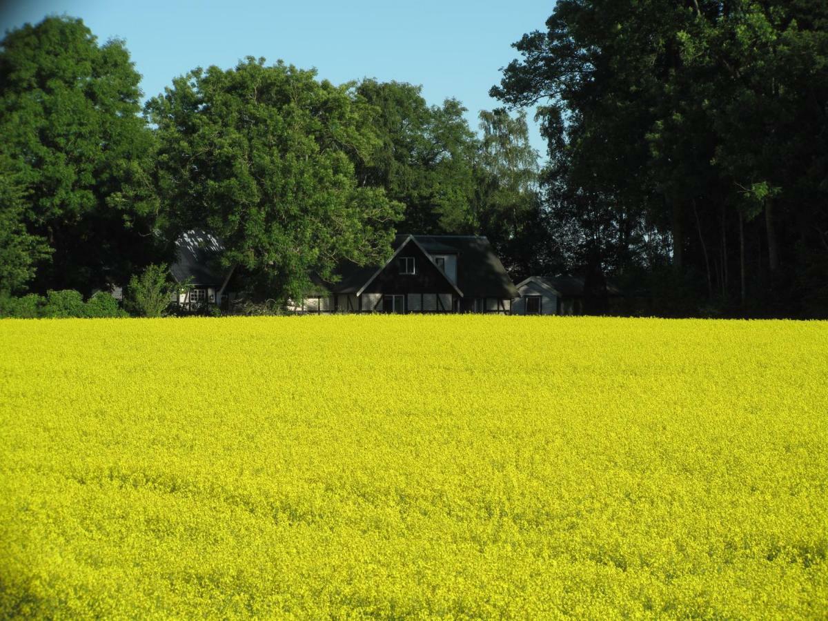 Villa Smedsgarden Höganäs Exterior foto